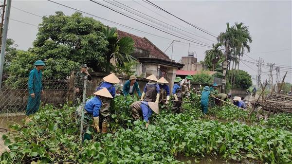 XÃ NAM THANH MIỆN RA QUÂN VỚT BÈO, KHƠI THÔNG DÒNG CHẢY TRÊN KÊNH T2’ THÔN AN PHONG