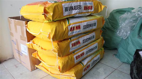 NÔNG DÂN NAM THANH MIỆN TÍCH CỰC ĐĂNG KÝ GIỐNG CÂY TRỒNG VỤ ĐÔNG