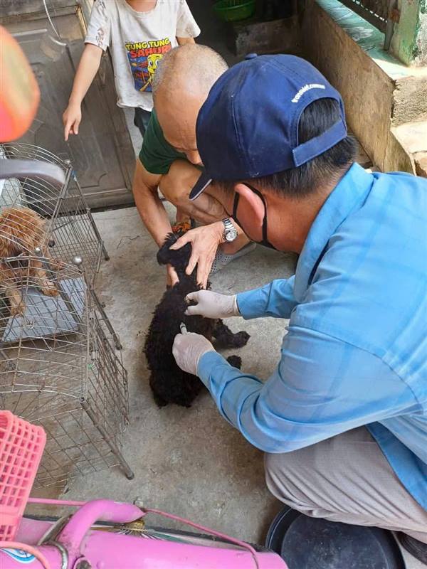 XÃ NGHI DƯƠNG ĐANG TRIỂN KHAI TIÊM PHÒNG VẮC XIN DẠI CHO CHÓ, MÈO TẠI CÁC THÔN 