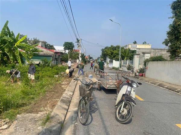 CHI HỘI CỰU CHIẾN BINH THÔN XUÂN MAI TỔ CHỨC CHỈNH TRANG ĐƯỜNG HÈ