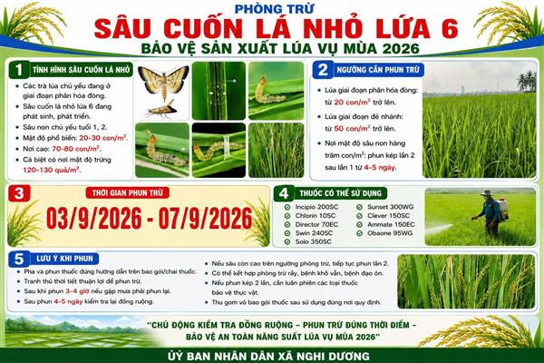 XÃ NGHI DƯƠNG THÔNG BÁO TĂNG CƯỜNG PHÒNG TRỪ SÂU CUỐN LÁ NHỎ LỨA 6 – BẢO VỆ LÚA VỤ MÙA 2026