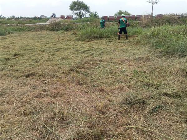 🌿 THÔN NGHI DƯƠNG CHUNG TAY DỌN DẸP SÂN VẬN ĐỘNG TRƯỜNG THCS NGHI DƯƠNG