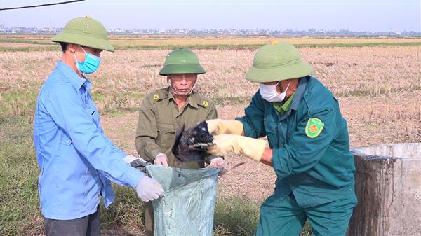 THU GOM VỎ BAO BÌ THUỐC BẢO VỆ THỰC VẬT VÌ MỘT NỀN NÔNG NGHIỆP SINH THÁI VÀ AN TOÀN.
