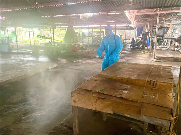 PHƯỜNG NGUYỄN ĐẠI NĂNG TRIỂN KHAI KẾ HOẠCH PHUN THUỐC HOÁ CHẤT TIÊU ĐỘC, KHỬ TRÙNG MÔI TRƯỜNG ĐỢT 1 NĂM 2026. 