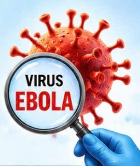 CHỦ ĐỘNG GIÁM SÁT PHÁT HIỆN VÀ TRIỂN KHAI CÁC BIỆN PHÁP PHÒNG, CHỐNG DỊCH BỆNH DO VI RÚT EBOLA TRÊN ĐỊA BÀN PHƯỜNG KINH MÔN