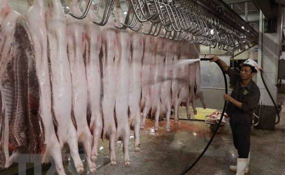 Đảm bảo vệ sinh thú y, an toàn dịch bệnh, an toàn thực phẩm tại các cơ sở giết mổ trên địa bàn xã.