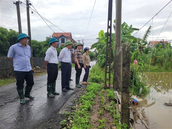 Đồng chí Bí thư Đảng ủy thăm đồng, kiểm tra công tác phòng chống úng cho lúa và rau màu.