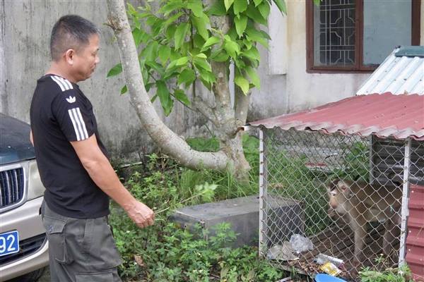 Bảo vệ các loài động vật hoang dã, bảo vệ nguồn lợi thuỷ sản trên địa bàn thành phố Hải Phòng