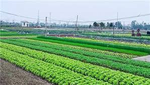 Thu tiền thầu đất công ích vụ mùa năm 2025 trên địa bàn xã từ ngày 05/12/2025 đến hết ngày 10/12/2025.