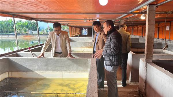 Hội thảo khoa học báo cáo kết quả xây dựng mô hình nuôi lươn đồng thương phẩm trong bể sử dụng thức ăn bổ sung thảo dược.