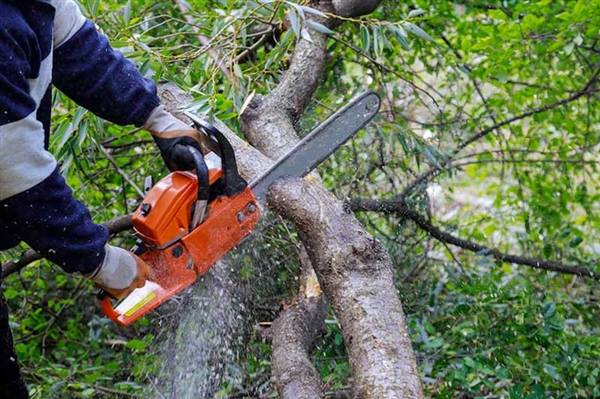 Nguyên Giáp thực hiện cắt tỉa cây xanh và ứng phó với tình trạng ngập lụt trước, trong và sau bão Ragasa năm 2025