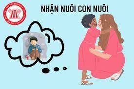 Nguyên Giáp: Thực hiện hiệu quả luật nuôi con nuôi.