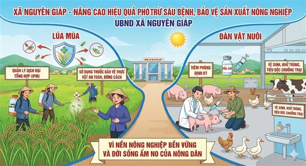 Nguyên Giáp nâng cao hiệu quả phòng trừ sâu bệnh, bảo vệ lúa Mùa và đàn vật nuôi cho nông dân. 