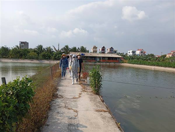 Nguyên Giáp thực hiện hiệu quả Tháng tổng vệ sinh, khử trùng, tiêu độc môi trường.