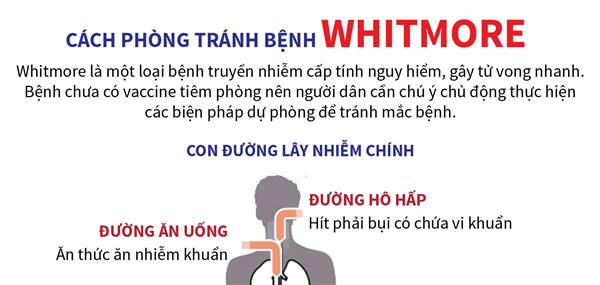 Nguyên Giáp: tăng cường truyền thông phòng, chống bệnh Whitmore.