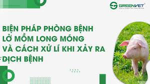 HƯỚNG DẪN MỘT SỐ BIỆN PHÁP KỸ THUẬT PHÒNG CHỐNG DỊCH BỆNH LMLM TRÊN ĐÀN VẬT NUÔI