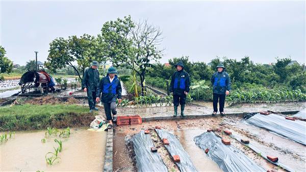 LÃNH ĐẠO XÃ NGUYÊN GIÁP KIỂM TRA, CHỈ ĐẠO CHỦ ĐỘNG TIÊU ÚNG, BẢO VỆ SẢN XUẤT TRƯỚC MƯA LỚN