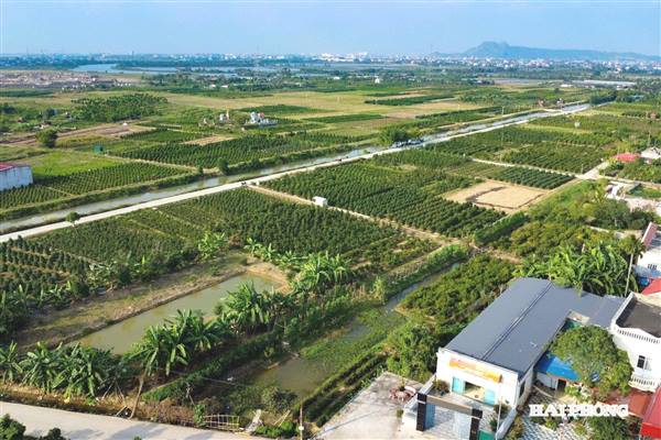 Góc khuất thỏa thuận 'chui' khi chuyển nhượng đất nông nghiệp