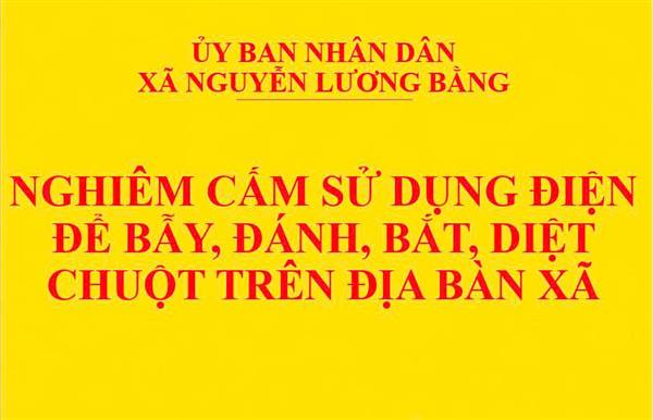 Nghiêm cấm sử dụng điện để bẫy, đánh, bắt, diệt chuột trên địa bàn xã Nguyễn Lương Bằng
Người viết: Trương Văn Đô, chuyên viên Văn phòng HĐND và UBND xã
