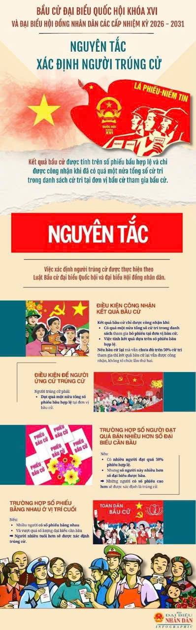 NGUYÊN TẮC XÁC ĐỊNH NGƯỜI TRÚNG CỬ ĐẠI BIỂU QUỐC HỘI, HĐND CÁC CẤP