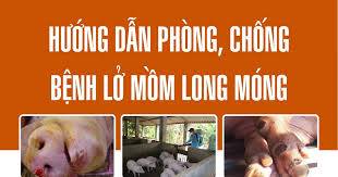 Hướng dẫn một số biện pháp kỹ thuật phòng chống dịch bệnh LMLM trên đàn vật nuôi