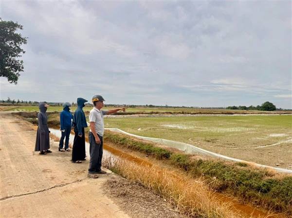 XÃ NGUYỄN LƯƠNG BẰNG TĂNG CƯỜNG CÔNG TÁC KIỂM TRA, XỬ LÝ VIỆC SỬ DỤNG ĐIỆN ĐỂ ĐÁNH BẮT, DIỆT CHUỘT TRÊN ĐỒNG RUỘNG 