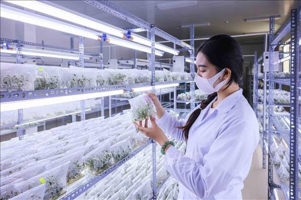 Khoa học công nghệ là động lực chính của mô hình tăng trưởng mới