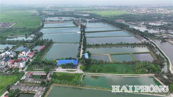 8 Nghị quyết về đơn giản hóa thủ tục hành chính, điều kiện kinh doanh