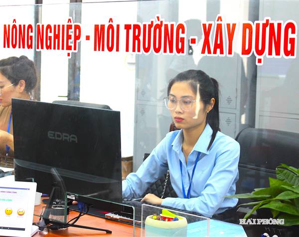 Khẩn trương thành lập, tổ chức lại phòng chuyên môn thuộc UBND cấp xã