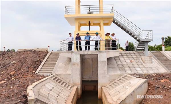 Phường Nhị Chiểu giải ngân vốn đầu tư công đạt 70,6%