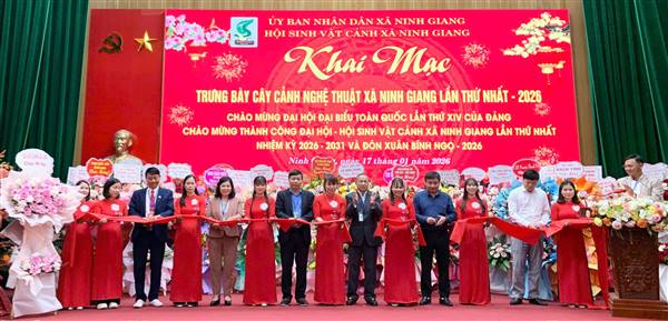 NINH GIANG: KHAI MẠC TRƯNG BÀY CÂY CẢNH NGHỆ THUẬT 
MỞ RỘNG CHÀO MỪNG ĐẠI HỘI XIV CỦA ĐẢNG
