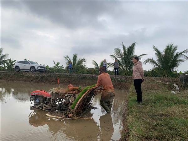 Lãnh đạo xã Ninh Giang kiểm tra sản xuất nông nghiệp, gieo cấy lúa chiêm xuân năm 2026.