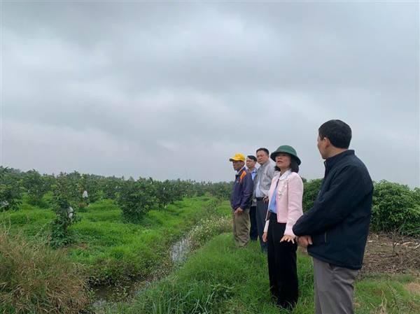 LÃNH ĐẠO XÃ NINH GIANG KIỂM TRA SẢN XUẤT NÔNG NGHIỆP VÀ AO NUÔI TRÊN ĐỊA BÀN
