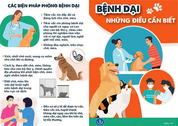 Tăng cường tuyên truyền, chủ động phòng chống bệnh Dại trong cộng đồng