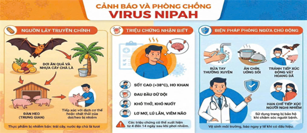 TUYÊN TRUYỀN PHÒNG, CHỐNG DỊCH BỆNH DO VI RÚT NIPAH