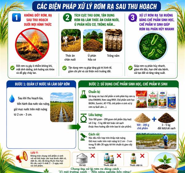 HƯỚNG DẪN SỬ DỤNG CHẾ PHẨM SINH HỌC ĐỂ XỬ LÝ RƠM RẠ