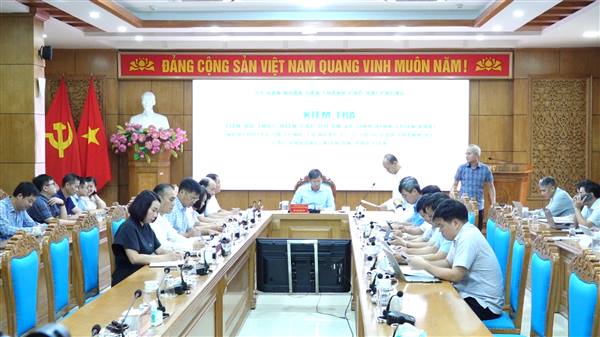 Đồng chí Phó Chủ tịch Thường trực UBND thành phố kiểm tra tiến độ một số dự án và tình hình thực hiện Nghị quyết số 11-NQ/TU ngày 15/7/2026 của Thành ủy tại 2 phường: Phù Liễn, Kiến An