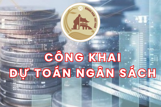 Hồ sơ  công bố công khai số liệu dự toán ngân sách Nhà nước năm 2025