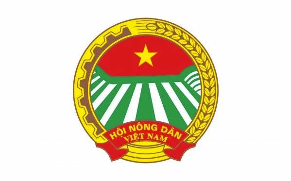 Hội Nông dân xã kiểm tra việc duy trì cánh đồng không rác thải