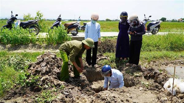 sáng ngày 08/6/2026, tổ công tác chuyên môn đã tiến hành khảo sát và lấy mẫu đất tại xã Phú Thái “Đánh giá tính chất lý học, hóa học; xây dựng bản đồ nông hóa thổ nhưỡng và xác định vùng quy hoạch trồng lúa năng suất, chất lượng cao trên địa bàn thành phố Hải Phòng giai đoạn 2026 - 2030”