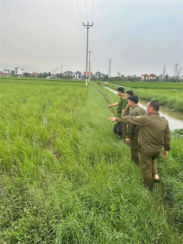 CẢNH BÁO: TUYỆT ĐỐI KHÔNG SỬ DỤNG ĐIỆN ĐỂ BẪY CHUỘT, KÍCH CÁ!