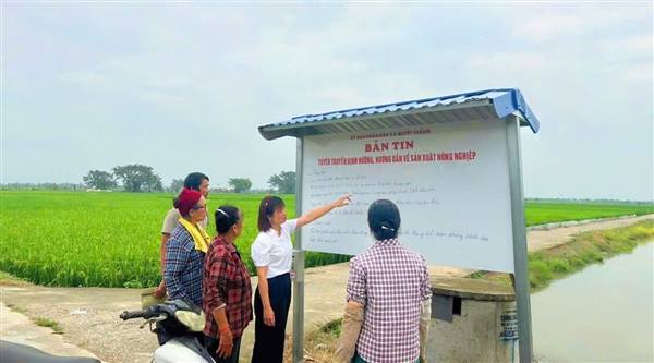Bảng tin khuyến nông trên cánh đồng quê hương