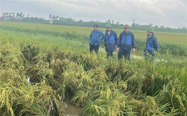 Lãnh đạo UBND xã Tân An kiểm tra khắc phục mưa úng do ảnh hưởng của hoàn lưu bão số 11 