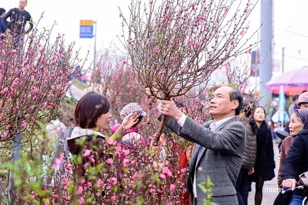 Phường Tân Hưng thực hiện tổ chức Tết Bính Ngọ an toàn, lành mạnh và nghĩa tình