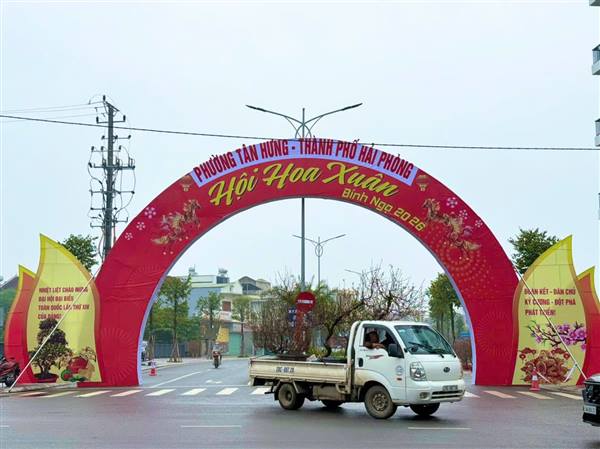 Sắc thắm "Hội hoa Xuân Tân Hưng" trên tuyến phố Lương Như Hộc