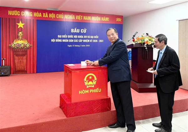 Đến 12 giờ trưa, phường Tân Hưng đạt tỷ lệ hơn 90% cử tri đi bỏ phiếu