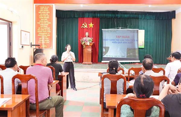 Tập huấn Kỹ thuật chăm sóc lúa vụ Mùa năm 2026 cho nông dân Tổ dân phố Ngọc Lặc