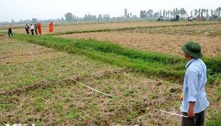 Thông báo triển khai thực hiện kê khai, đăng ký đất đai đối với đất nông nghiệp sau dồn điền đổi thửa trên địa bàn phường