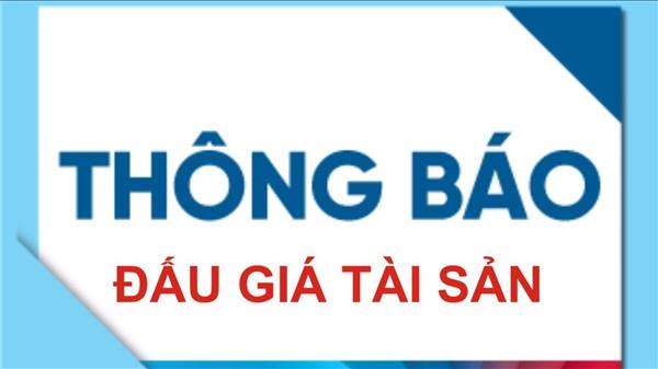Thông báo đấu giá tài sản 03 lô (thửa) tại Khu dân cư Liễu Tràng, phường Tân Hưng