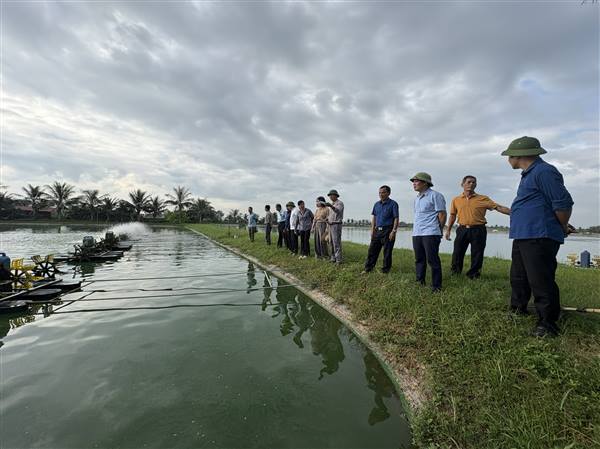Tuyệt đối không được lơ là, chủ quan trong phòng chống siêu bão Ragasa